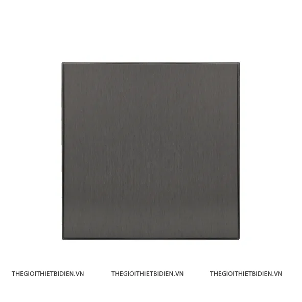 Công tắc ổ cắm S89-K11