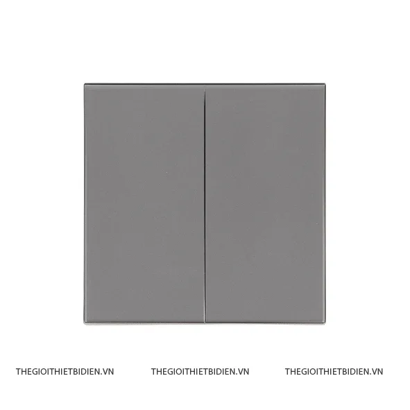 Công tắc ổ cắm S88-K21